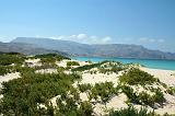 IMG_4866  Shuabb, Socotra